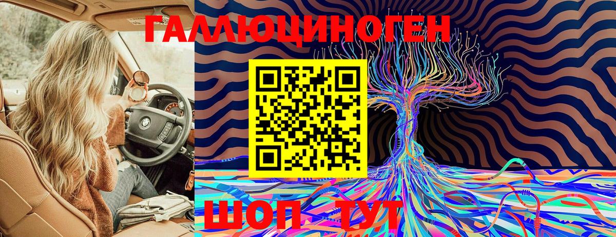 Барнаул  Галлюциногенные грибы Psilocybe  Вход с VPN 